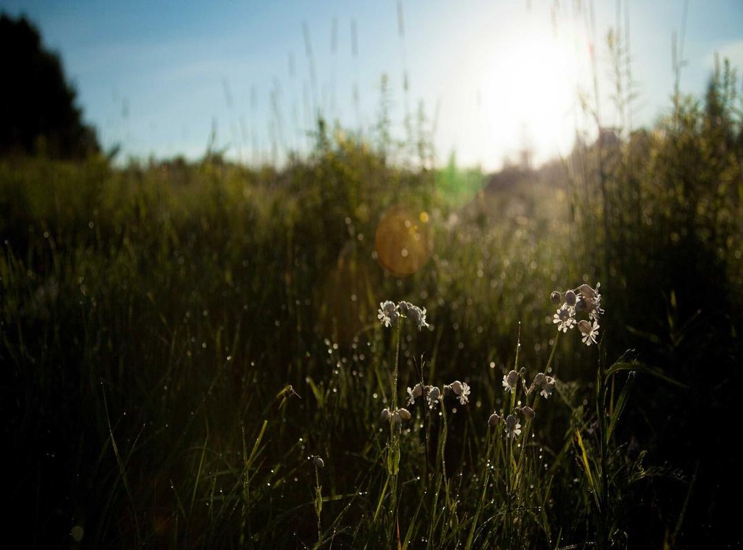 Warning Signs: 4 Red Flags to Walk Away From Immediately