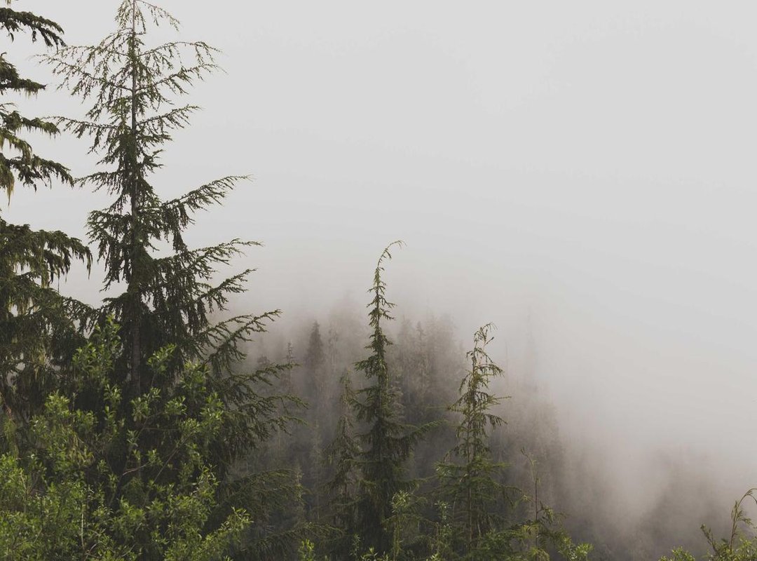 For Photographers: A Guide to Responsible Contribution