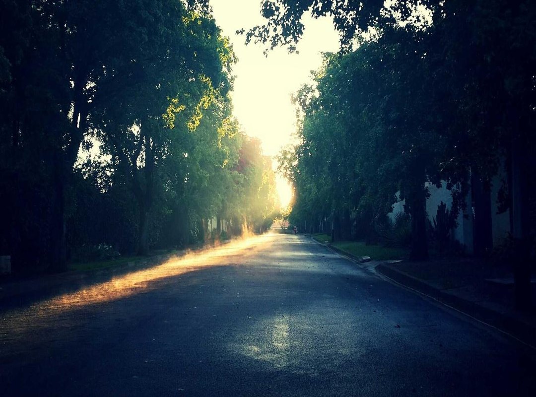 From Text to Art: Designing Your Collarbone Tattoo