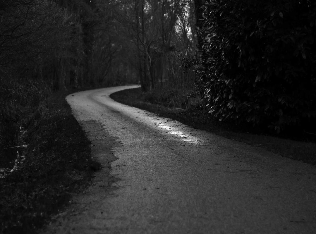 The Tattooing Process: Step-by-Step Guide