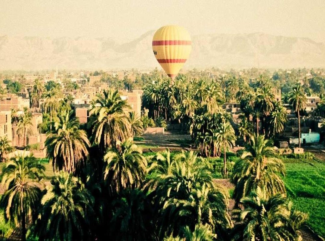 Frequently Asked Questions (FAQs)