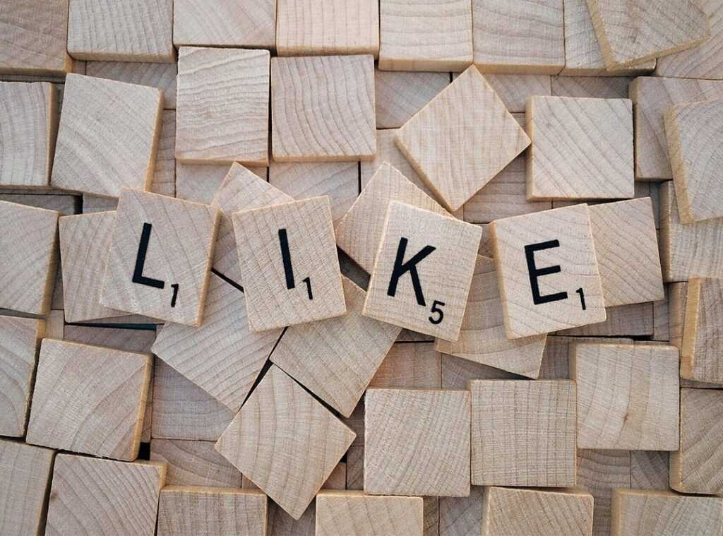 social media gamers