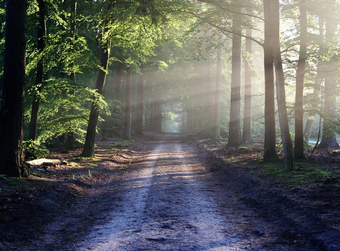 Which Metal Gear Games to Play Pmwgamester